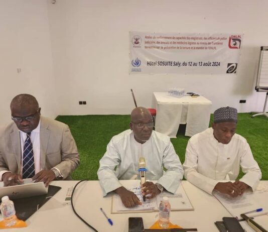 ATELIER DE RENFORCEMENT DE CAPACITES A SALY – PORTUDAL