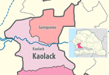RAPPORT DE SYNTHESE – KAOLACK