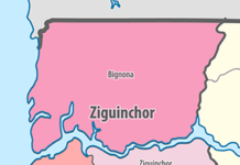 RAPPORT DE SYNTHÈSE – ZIGUINCHOR